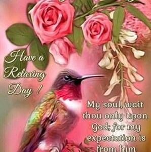 Meet your Posher, Rose